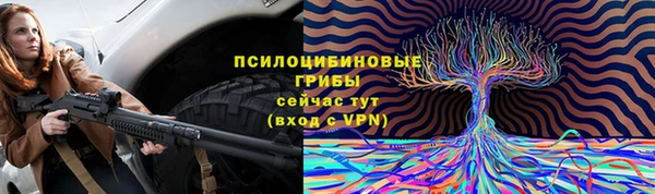 скорость Алзамай