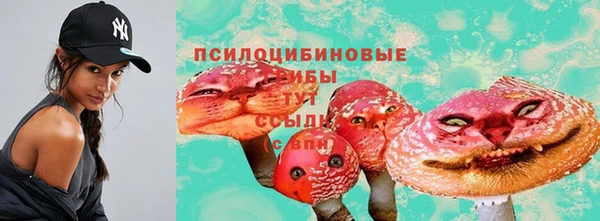 скорость Алзамай