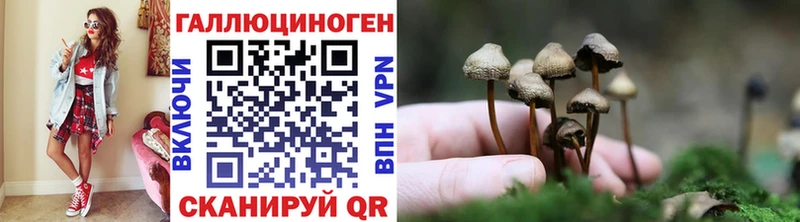 МЕГА зеркало  Каневская  Галлюциногенные грибы MAGIC MUSHROOMS 